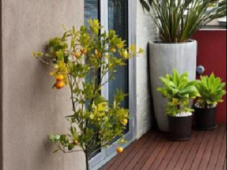 Twofourtwo Boutique Apartments Launceston Exterior photo
